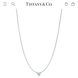 Elsa Peretti Tiffany & Co Diamond Necklace